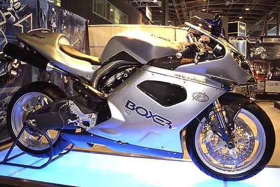boxer